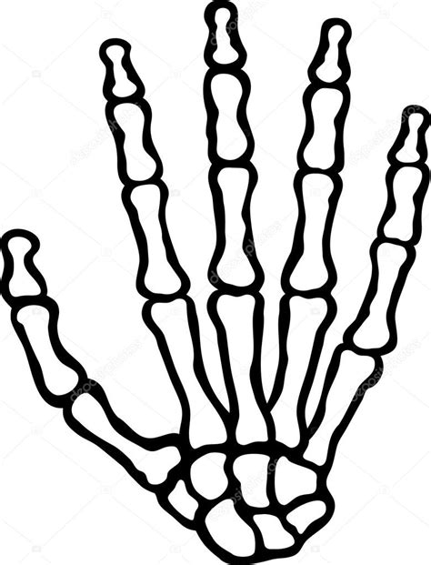 mano esqueleto-4